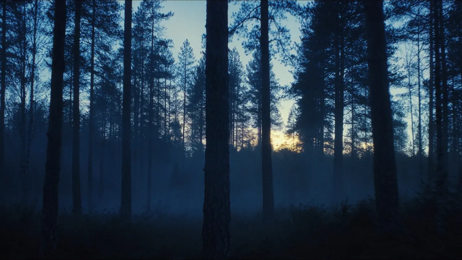 Atmospheric night scene illustrating Nature Sounds Benefits: What the Research Shows