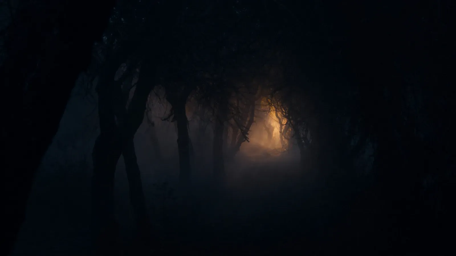 Atmospheric night scene illustrating Slo vs Portal: Ambient Mixing or Immersive Nature? (2026)